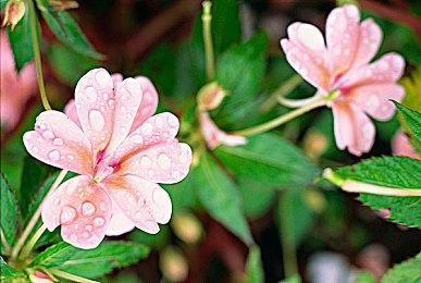 国产武侠《猿公剑》实机演示 战斗体验流畅